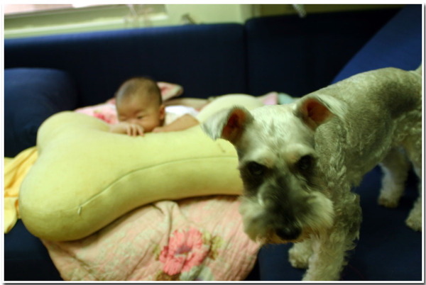 [coco的一步一腳印]coco趴2~有像蠟筆小新耶~