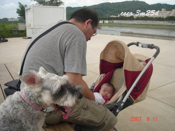 [coco的一步一腳印]3m25d,大佳河濱公園一遊