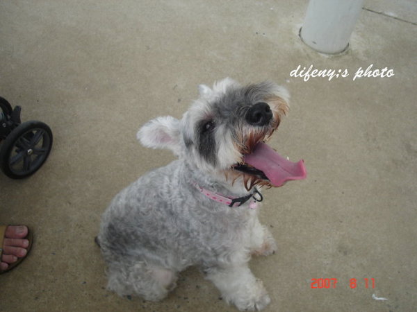 [coco的一步一腳印]3m25d,大佳河濱公園一遊