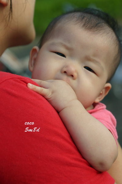 [coco的一步一腳印]5m15d,撞破頭~