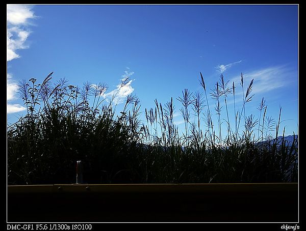 [國內趴趴走]一起看星星。往合歡山的路上最美~