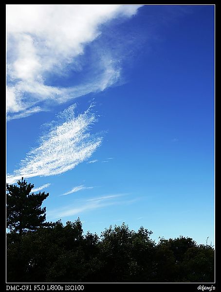 [國內趴趴走]一起看星星。往合歡山的路上最美~