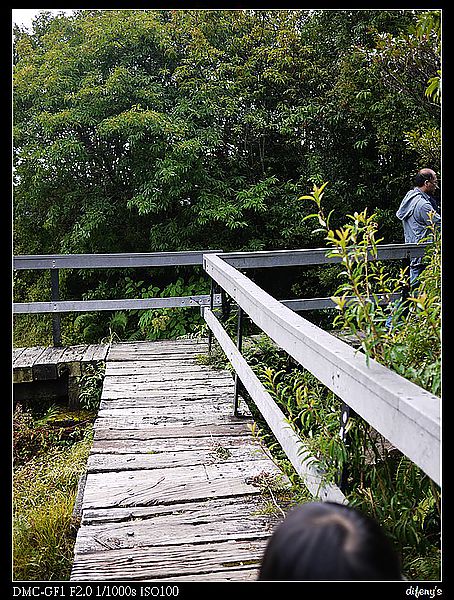 [國內趴趴走]一起看星星。往合歡山的路上最美~