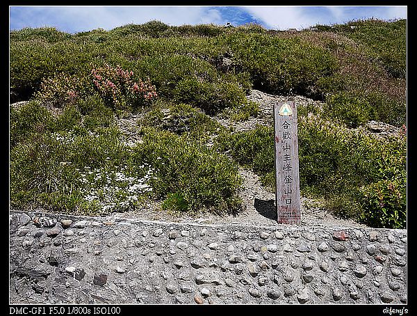 [國內趴趴走]一起看星星。往合歡山的路上最美~