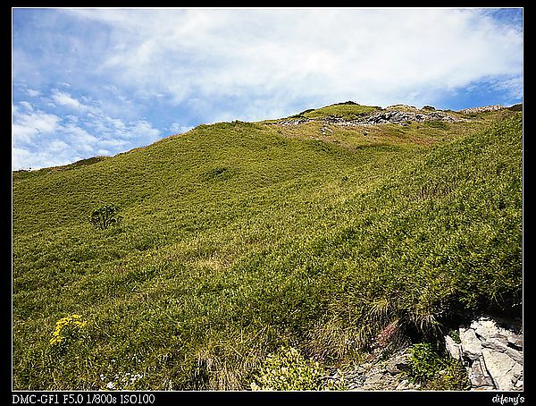 [國內趴趴走]一起看星星。往合歡山的路上最美~