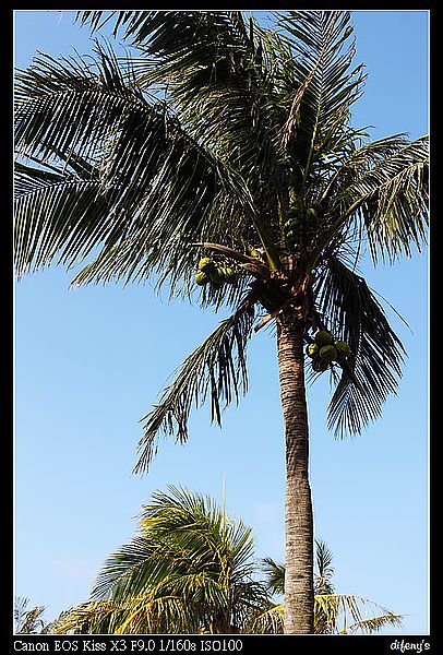 [國內趴趴走]冬日。暖陽。墾丁–晨光