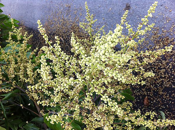 [366]2012。4/9。閱讀。心情。隨手拍