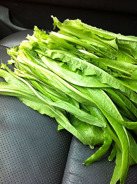 [366]2012。4/20。閱讀。心情。隨手拍