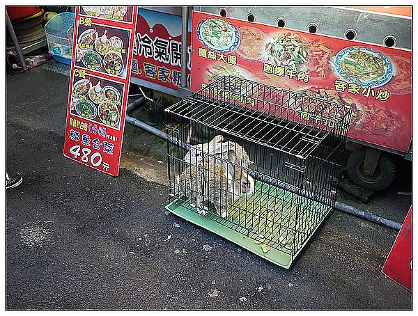 [國內趴趴走]苗栗南庄老街