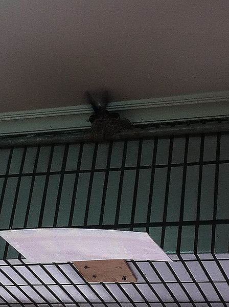 [366]2012。6/23。閱讀。心情。隨手拍