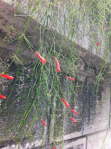 [366]2012。6/24。閱讀。心情。隨手拍