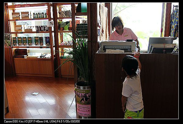 [住。東部。台東]台東鹿野|鹿鳴溫泉酒店。餵牛篇