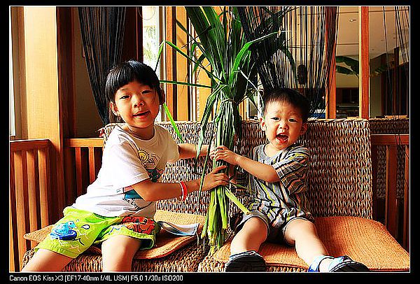 [住。東部。台東]台東鹿野|鹿鳴溫泉酒店。餵牛篇