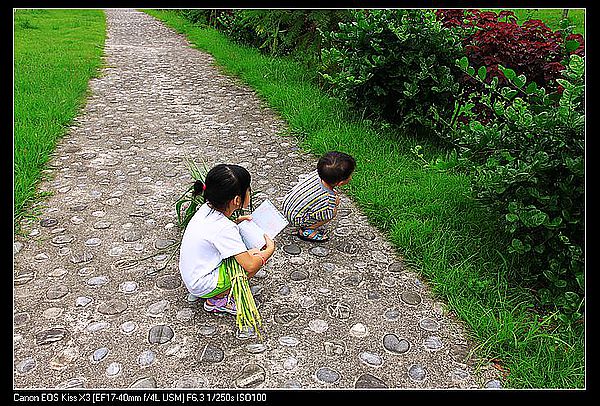 [住。東部。台東]台東鹿野|鹿鳴溫泉酒店。餵牛篇