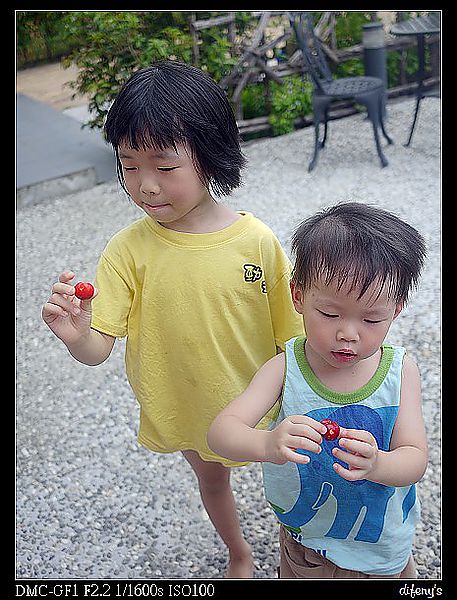 [住。東部]宜蘭三星|好友限定。水蜻蜓有溫度的米…行健有機米