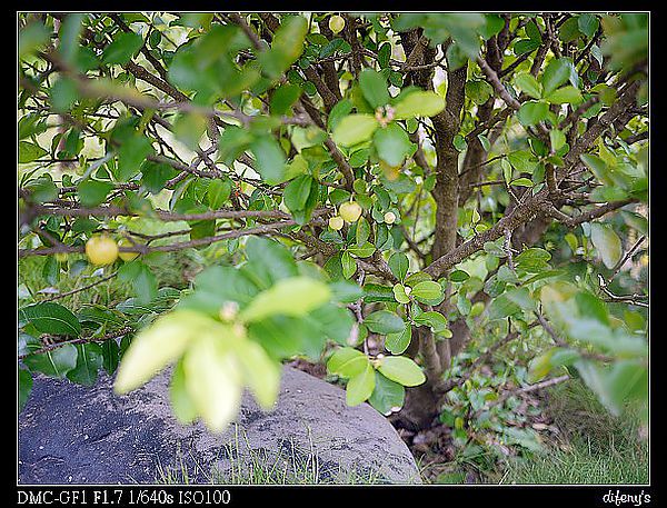 [住。東部]宜蘭三星|好友限定。水蜻蜓有溫度的米…行健有機米