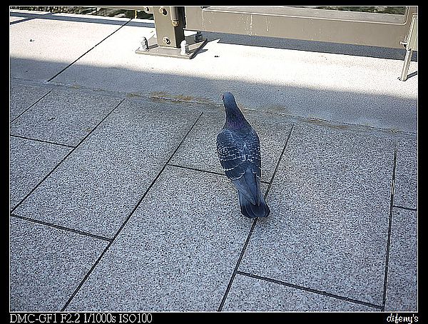[2012秋日。東京]一個人旅行。學會與自己對話