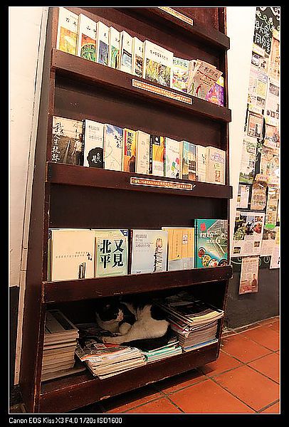 [國內趴趴走]桃園|春天農場。天然有機食在放心的用心親子農場(圖多)