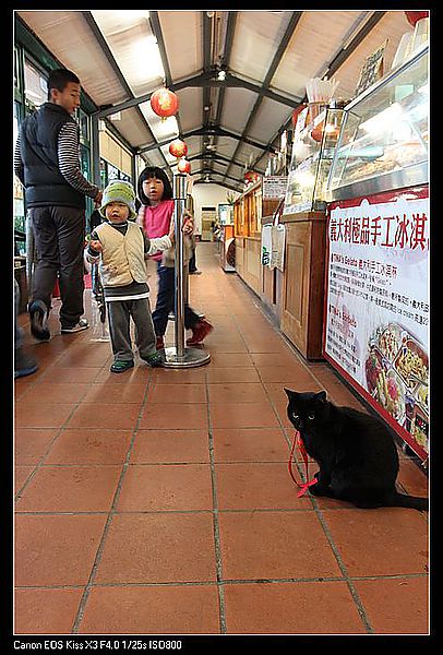 [國內趴趴走]桃園|春天農場。天然有機食在放心的用心親子農場(圖多)