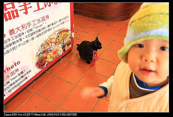[國內趴趴走]桃園|春天農場。天然有機食在放心的用心親子農場(圖多)