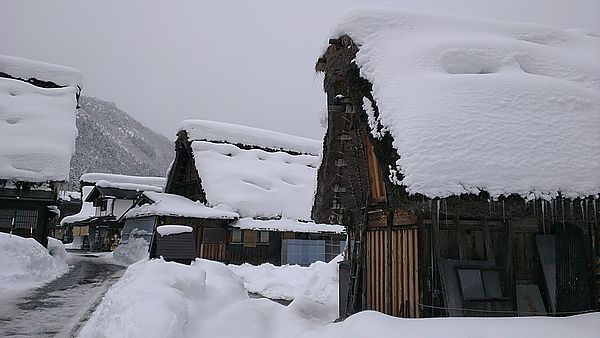 [在旅路上。2013]1/28