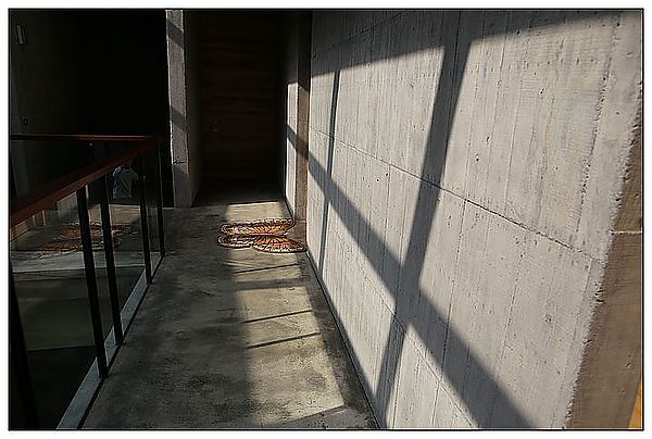 [住。東部]礁溪|清水模裡躍動。冒煙的石頭時尚旅店(環境篇)