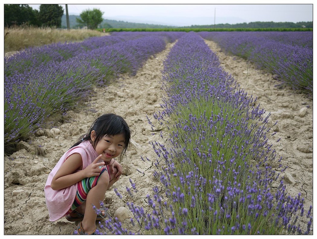 [2013。夏。親子背包歐遊]遊記|DAY7-美好的薰衣草季。AMY的私房普羅旺斯南法tour行程。幸福