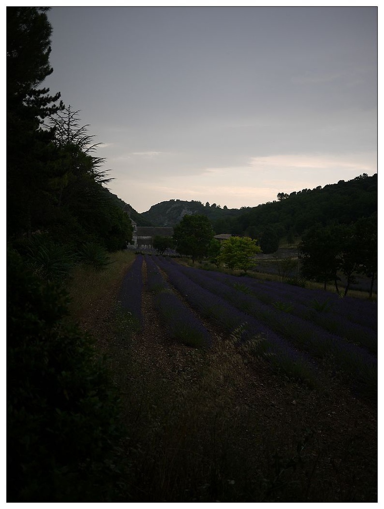 [2013。夏。親子背包歐遊]遊記|DAY7-美好的薰衣草季。AMY的私房普羅旺斯南法tour行程。幸福