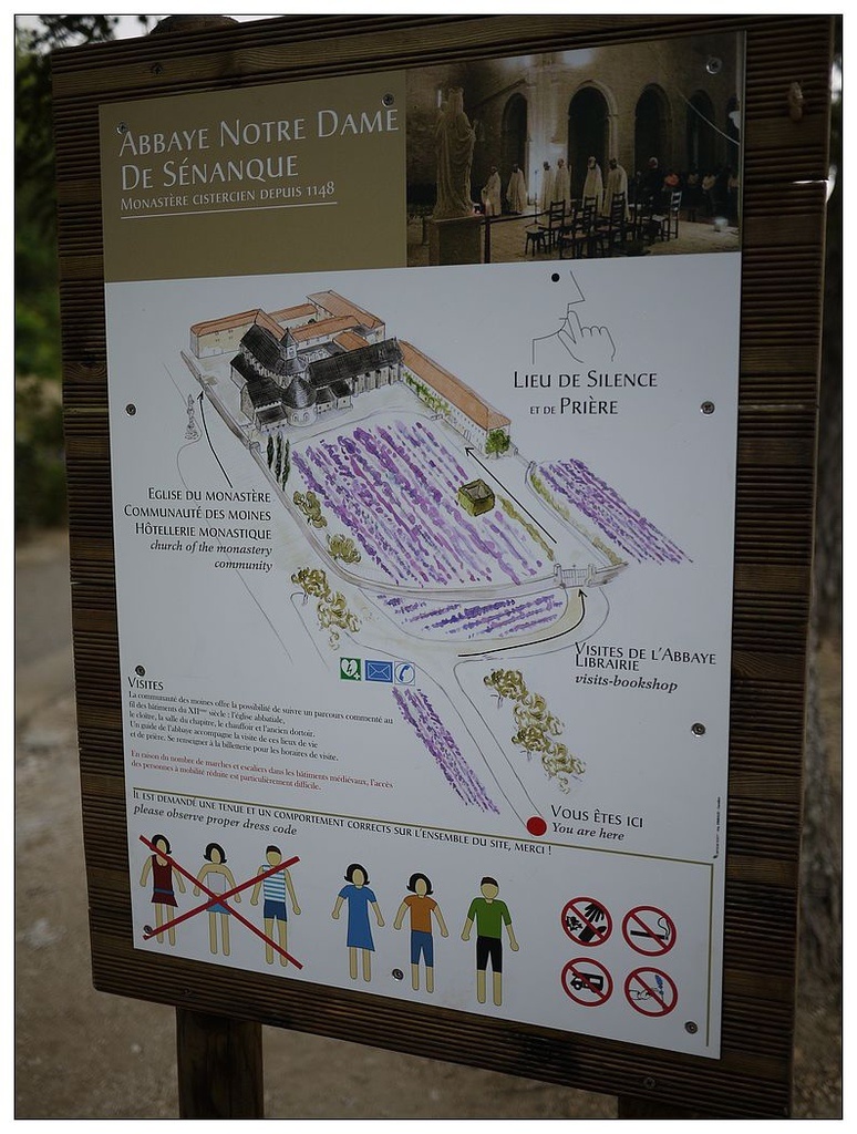 [2013。夏。親子背包歐遊]遊記|DAY7-美好的薰衣草季。AMY的私房普羅旺斯南法tour行程。幸福