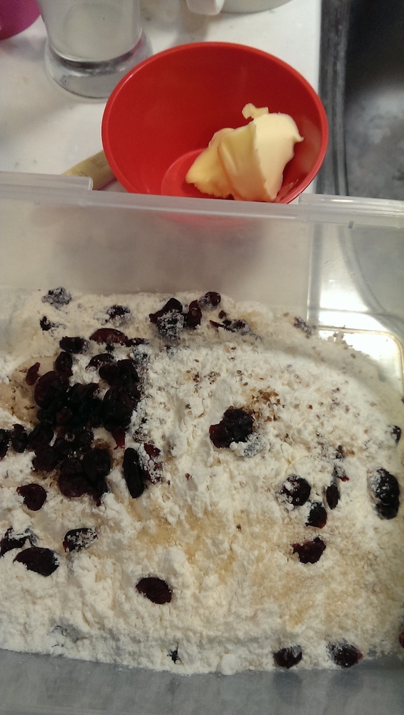 [烘培世界]低溫發酵10小時以上會比較剛好。鮮乳蔓越莓吐司