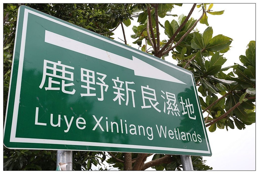 [國內趴趴走。東部]後時代農村人文旅記|印象台東。鹿野大原社區–台東新亮點。新良濕地生態園區