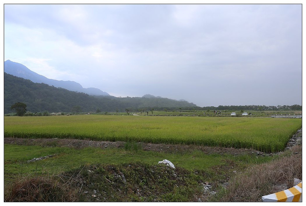 [國內趴趴走。東部]後時代農村人文旅記|印象台東。鹿野大原社區–台東新亮點。新良濕地生態園區