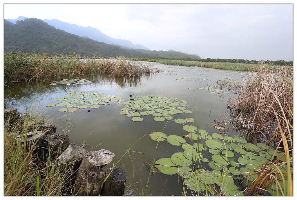 [國內趴趴走。東部]後時代農村人文旅記|印象台東。鹿野大原社區–台東新亮點。新良濕地生態園區