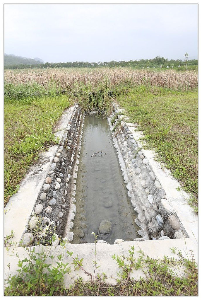[國內趴趴走。東部]後時代農村人文旅記|印象台東。鹿野大原社區–台東新亮點。新良濕地生態園區