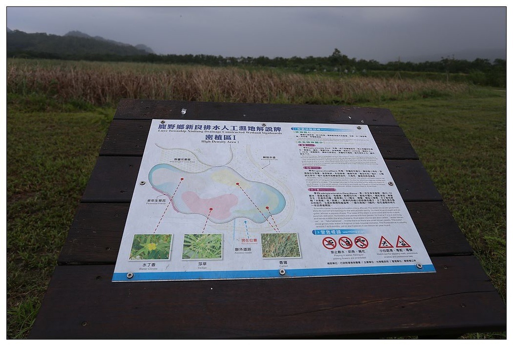 [國內趴趴走。東部]後時代農村人文旅記|印象台東。鹿野大原社區–台東新亮點。新良濕地生態園區