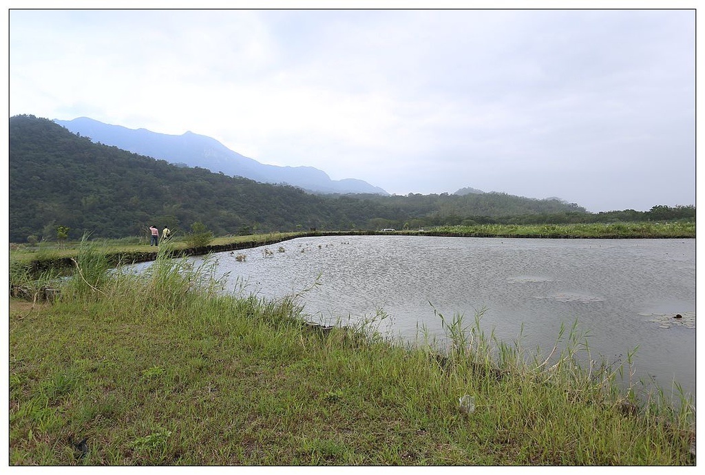 [國內趴趴走。東部]後時代農村人文旅記|印象台東。鹿野大原社區–台東新亮點。新良濕地生態園區