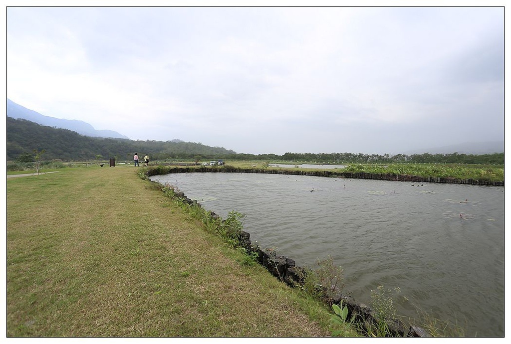 [國內趴趴走。東部]後時代農村人文旅記|印象台東。鹿野大原社區–台東新亮點。新良濕地生態園區