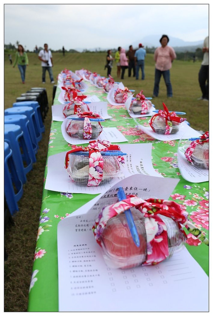 [國內趴趴走。東部]後時代農村人文旅記|印象台東。鹿野大原社區–台東新亮點。新良濕地生態園區