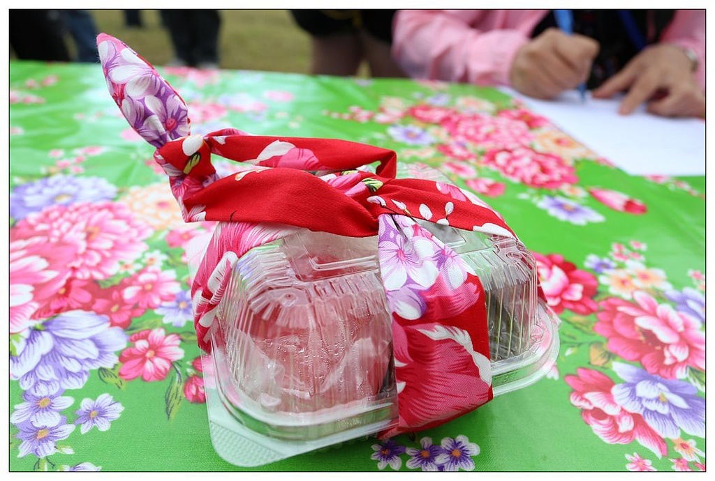 [國內趴趴走。東部]後時代農村人文旅記|印象台東。鹿野大原社區–台東新亮點。新良濕地生態園區