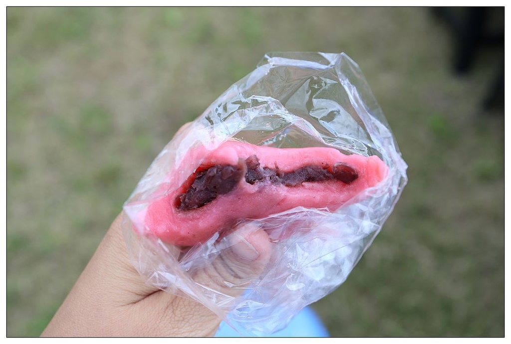 [國內趴趴走。東部]後時代農村人文旅記|印象台東。鹿野大原社區–台東新亮點。新良濕地生態園區