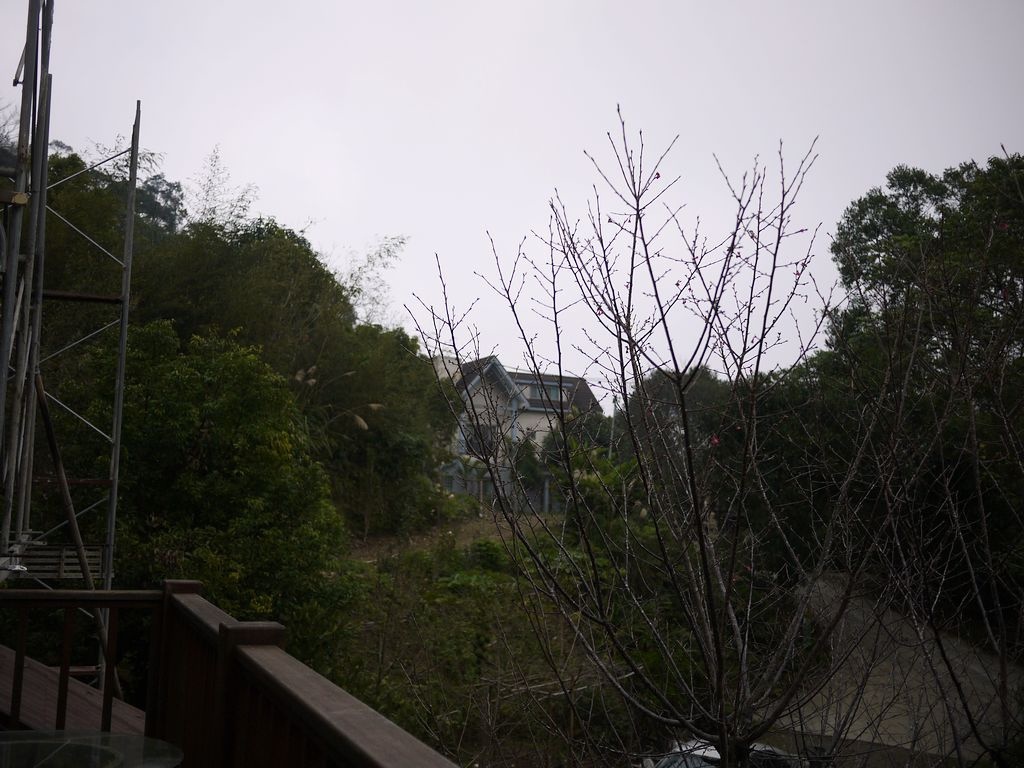[住。中部]苗栗南庄|仙境中像家一樣的民宿。桐顏桐雨花漾民宿。願意出借廚房及大烤箱唷！