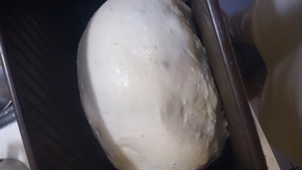 [烘培世界]鮮奶山茶花麥片土司。烘培香氣的美好