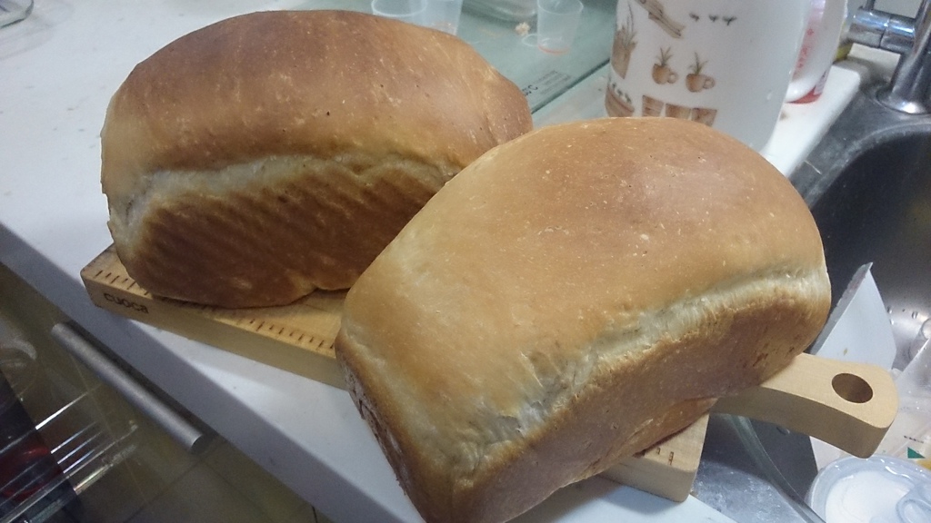 [烘培世界]鮮奶山茶花麥片土司。烘培香氣的美好