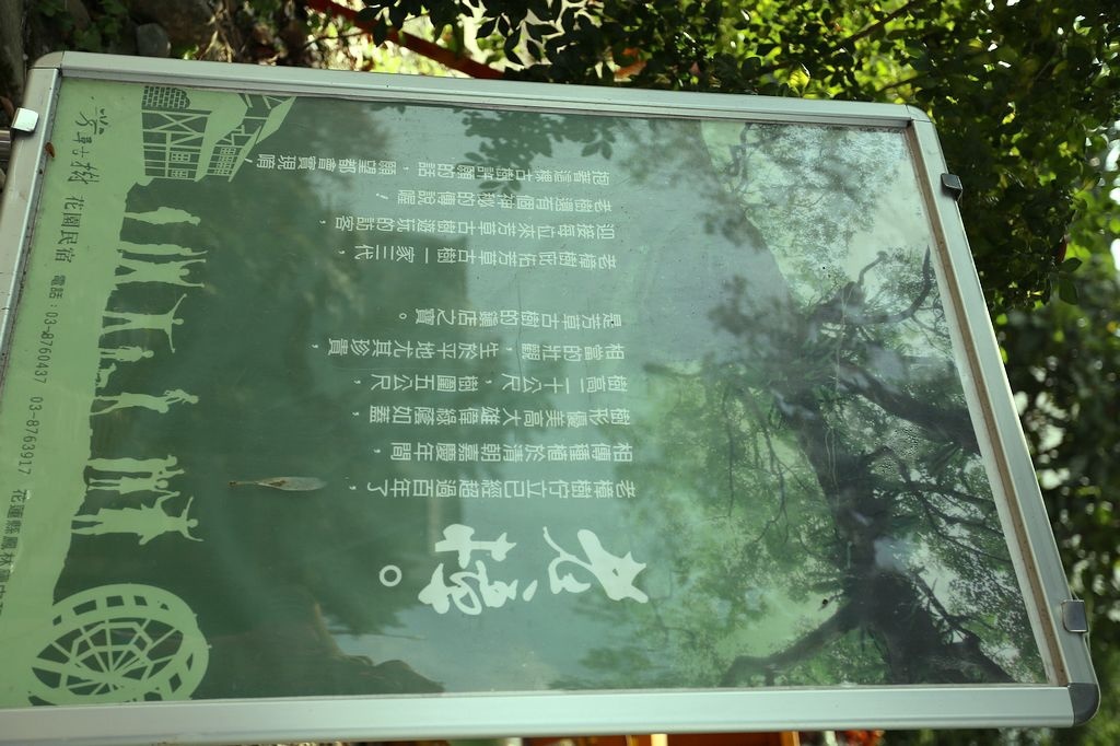 [食記。東部]慢城鳳林旅記|芳草古樹擂茶餐。重新學習家庭、長幼、親子間教育娛樂兼具餐廳