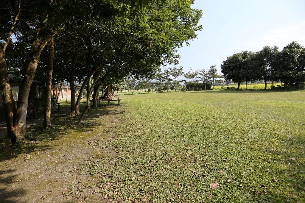 [食記。東部]慢城鳳林旅記|芳草古樹擂茶餐。重新學習家庭、長幼、親子間教育娛樂兼具餐廳