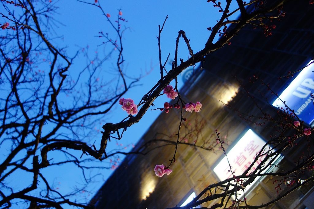 [2014過年。東京老人團]東京上野阿美橫藥妝、晴空塔。轉車轉不停