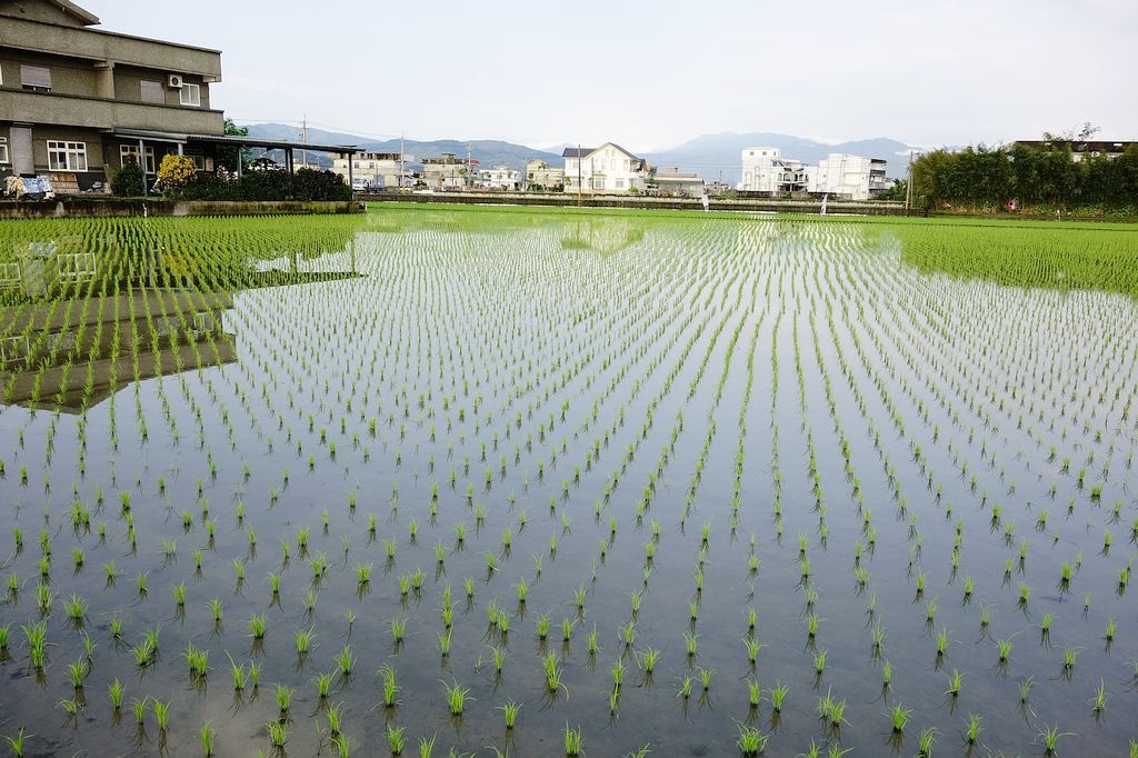 [住。東部]宜蘭羅東民宿推薦|巴黎鐵塔。宜蘭包棟民宿。精品設計民宿。私人招待所～營造國外日租公寓的感受～回味巴黎鐵塔的美好