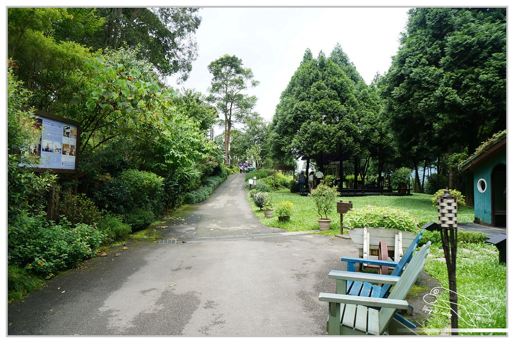 [國內趴趴走。北部]新竹尖石｜薰衣草森林快閃再訪。玫瑰冰淇淋超夢幻好吃！