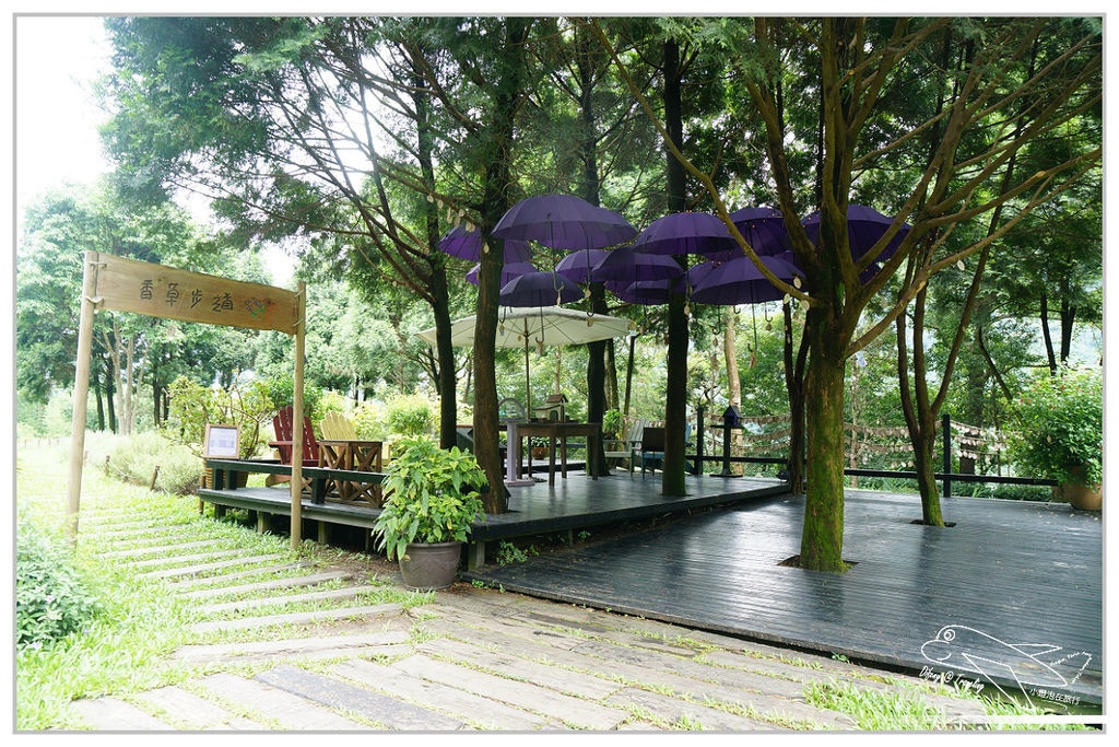 [國內趴趴走。北部]新竹尖石｜薰衣草森林快閃再訪。玫瑰冰淇淋超夢幻好吃！