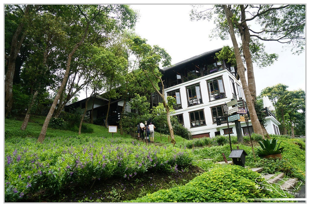 [國內趴趴走。北部]新竹尖石｜薰衣草森林快閃再訪。玫瑰冰淇淋超夢幻好吃！